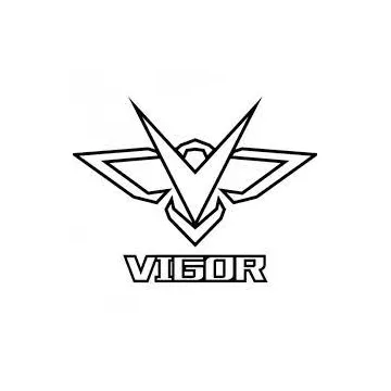 VIGOR