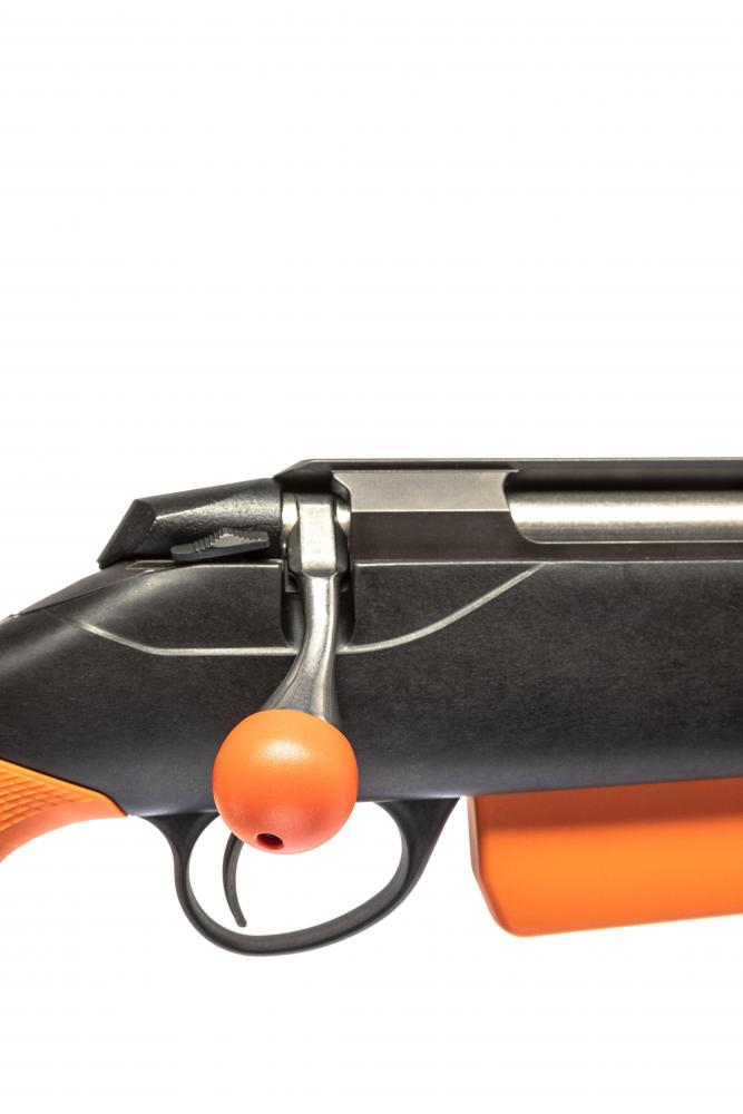 tikka-t3x-wildboar-pro.jpg_product