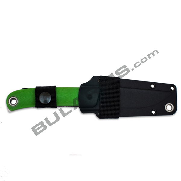 008-cocobolo-1.png_product_product_product_product_product_product_product_product_product_product_product_product_product_pro