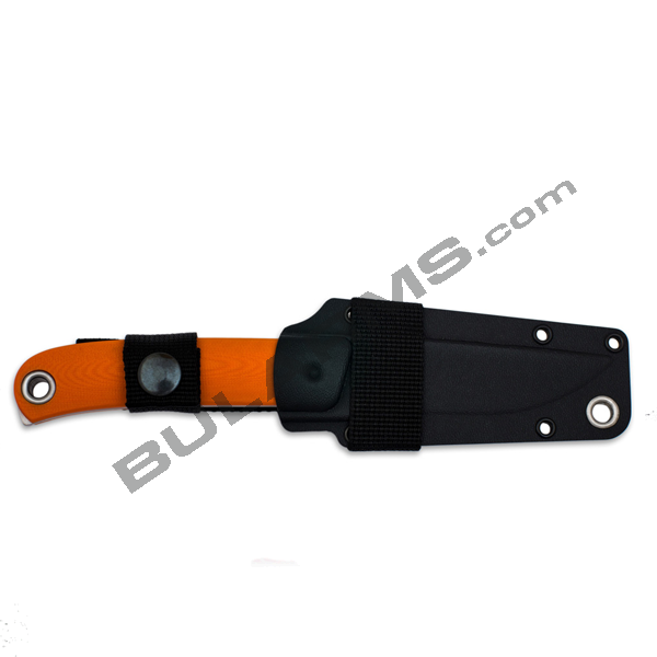 008-cocobolo-1.png_product_product_product_product_product_product_product_product_product_product_product_product_product_pro