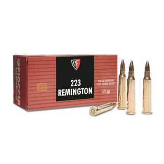 Fiocchi .223 Rem FMJ 55gr