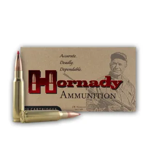 Hornady .308 WIN MATCH 168gr A-MAX