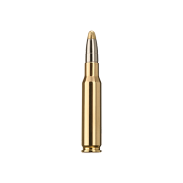 rws-.308evo-11.9g-1.png_product