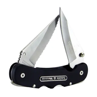 Taylor Smith&Wesson CH400DL