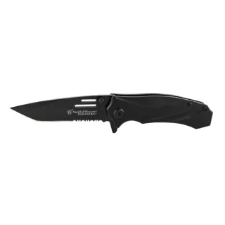 Taylor Smith&Wesson SWA22S